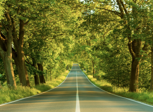 Screen Shot 2013-08-30 at 4.30.53 PM