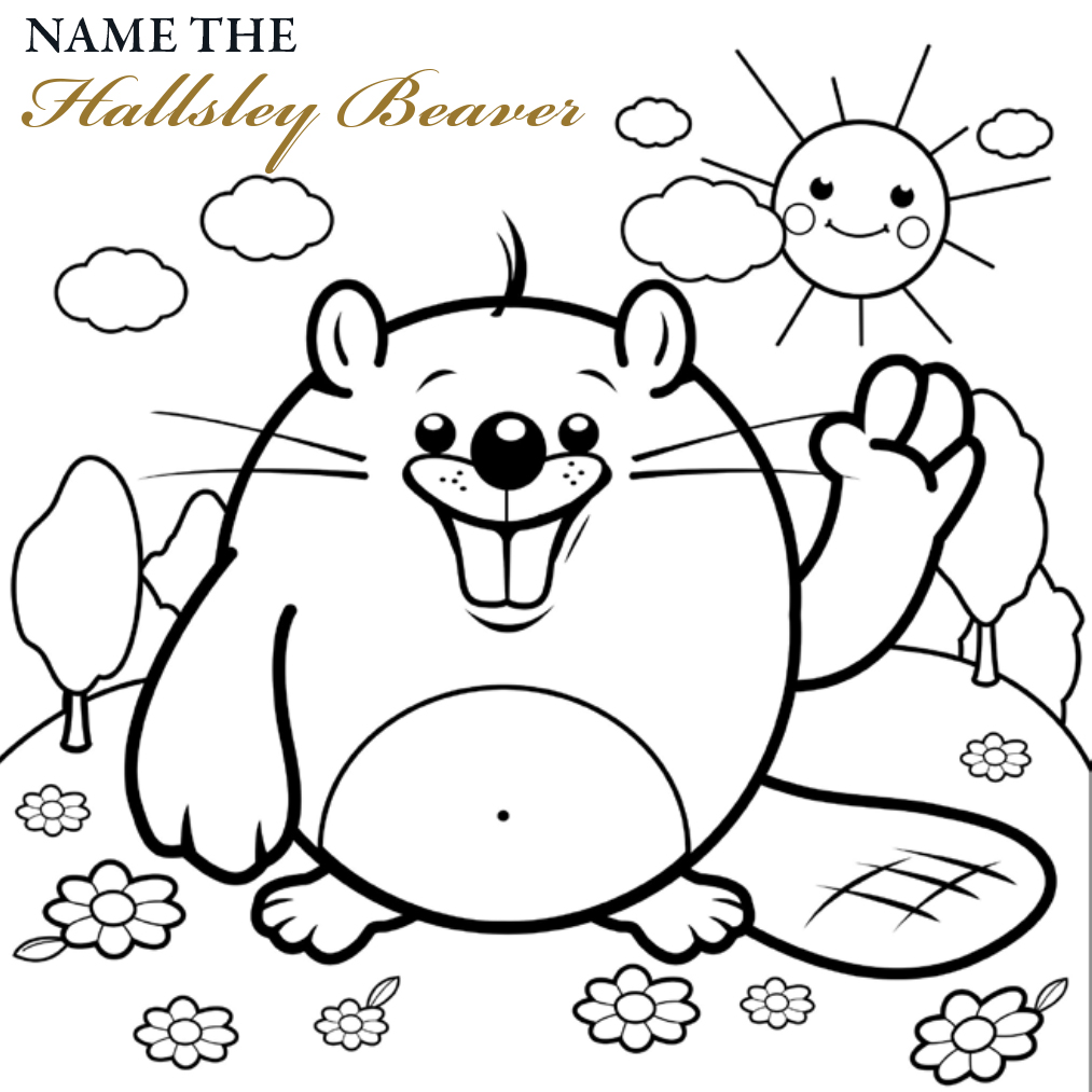 Name The Hallsley Beaver