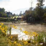 Hallsley Pond Mist